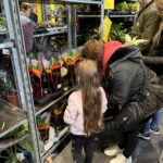 Festiwal roślin w Rzeszowie 10 - Polskie Radio Rzeszów Festiwal roślin w Rzeszowie - Polskie Radio Rzeszów