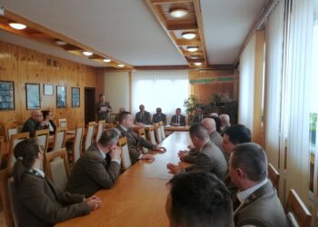 Rekord sprzedaży cennego drewna na&nbsp;Podkarpaciu