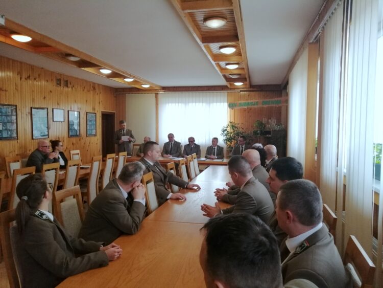 Rekord sprzedaży cennego drewna na Podkarpaciu