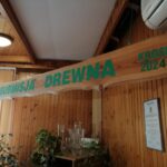 Rekord sprzedaży cennego drewna na Podkarpaciu 3 - Polskie Radio Rzeszów Rekord sprzedaży cennego drewna na Podkarpaciu - Polskie Radio Rzeszów