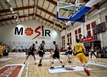 Koszykówka. Muszynianka Domelo Sokół Łańcut przegrywa z Dzikami Warszawa