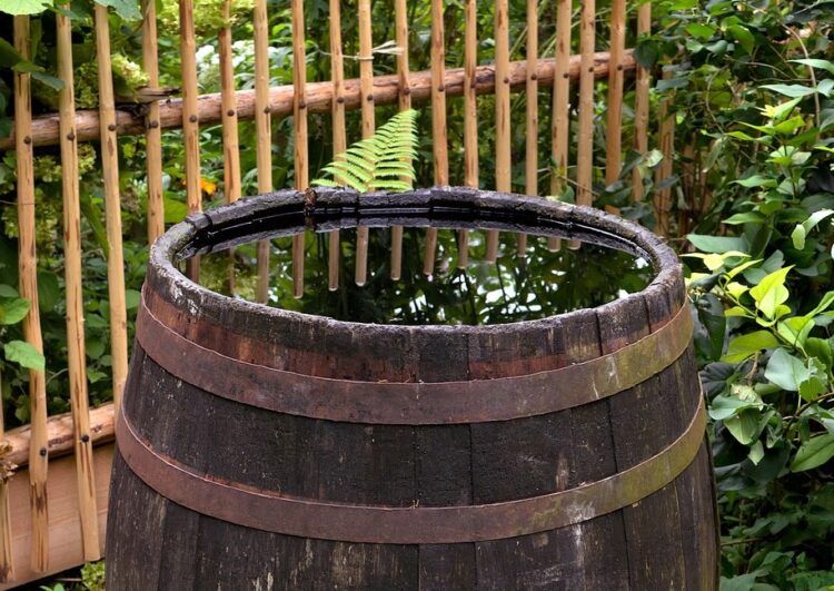 Dofinansowanie zakupu zbiorników na deszczówkę