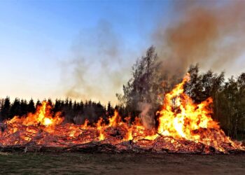 Chile. Wzrosła liczba ofiar śmiertelnych pożarów