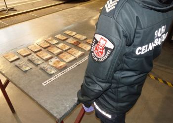 Przewozili znaczną ilość gotówki bez&nbsp;zgłoszenia. Zostali ukarani mandatami