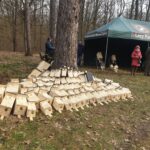 Las Zwierzyniecki z nowymi budkami lęgowymi dla ptaków - Polskie Radio Rzeszów