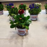 Konwencja programowa kandydata Waldemara Szumnego - Polskie Radio Rzeszów