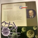 Wystawa "Polscy bohaterowie" na Uniwersytecie Rzeszowskim - Polskie Radio Rzeszów