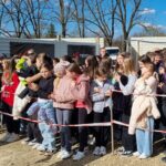 Kompleks basenów w Przemyślu ma być gotowy za dwa lata 8 - Polskie Radio Rzeszów Kompleks basenów w Przemyślu ma być gotowy za dwa lata - Polskie Radio Rzeszów