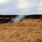 Od początku miesiąca strażacy wyjeżdżali już do 100 pożarów spowodowanych wypalaniem traw - Polskie Radio Rzeszów