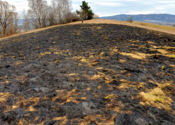 Od&nbsp;początku miesiąca strażacy wyjeżdżali już do&nbsp;100 pożarów spowodowanych wypalaniem traw