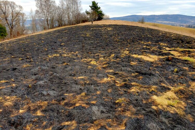 Od początku miesiąca strażacy wyjeżdżali już do 100 pożarów spowodowanych wypalaniem traw