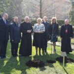 Jabłonkę błogosławionego Józefa Ulmy posadzono w Ogrodach Watykańskich - Polskie Radio Rzeszów