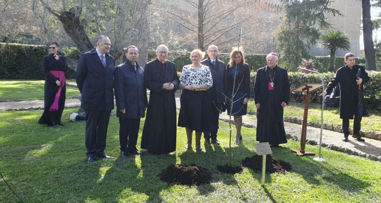 Jabłonkę błogosławionego Józefa Ulmy posadzono w Ogrodach Watykańskich