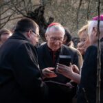 Jabłonkę błogosławionego Józefa Ulmy posadzono w Ogrodach Watykańskich - Polskie Radio Rzeszów