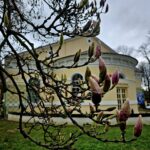 Wiosna w ogrodzie łańcuckiego zamku 9 - Polskie Radio Rzeszów Wiosna w ogrodzie łańcuckiego zamku - Polskie Radio Rzeszów