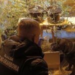 38-latek odpowie przed sądem za uprawę konopi indyjskich 4 - Polskie Radio Rzeszów 38-latek odpowie przed sądem za uprawę konopi indyjskich - Polskie Radio Rzeszów