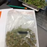 38-latek odpowie przed sądem za uprawę konopi indyjskich 5 - Polskie Radio Rzeszów 38-latek odpowie przed sądem za uprawę konopi indyjskich - Polskie Radio Rzeszów