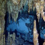 Podwodna fotografia dr. Piotra Kliszcza - Polskie Radio Rzeszów