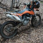 Kłusownicy, zbieracze poroża i motocykliści na celowniku Straży Leśnej 2 - Polskie Radio Rzeszów Kłusownicy, zbieracze poroża i motocykliści na celowniku Straży Leśnej - Polskie Radio Rzeszów