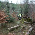 Kłusownicy, zbieracze poroża i motocykliści na celowniku Straży Leśnej 4 - Polskie Radio Rzeszów Kłusownicy, zbieracze poroża i motocykliści na celowniku Straży Leśnej - Polskie Radio Rzeszów