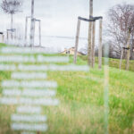 Minister Bartłomiej Sienkiewicz z wizytą w Markowej - Polskie Radio Rzeszów