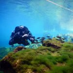 Podwodna fotografia dr. Piotra Kliszcza - Polskie Radio Rzeszów