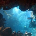 Podwodna fotografia dr. Piotra Kliszcza - Polskie Radio Rzeszów