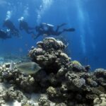 Podwodna fotografia dr. Piotra Kliszcza - Polskie Radio Rzeszów