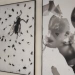 Kowalczyk i Olearka u Pastuły - Polskie Radio Rzeszów