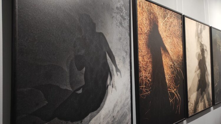 Wystawa prac Kamili Sammler w Galerii Nierzeczywistej