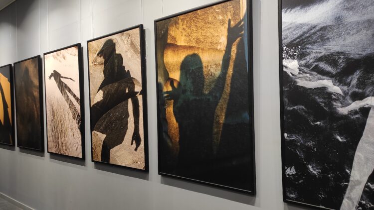 „jaCień” – fotografie Kamili Sammler