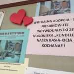Jak działa Szkolne Koło Wolontariatu w SP 25 w Rzeszowie? 3 - Polskie Radio Rzeszów Jak działa Szkolne Koło Wolontariatu w SP 25 w Rzeszowie? - Polskie Radio Rzeszów