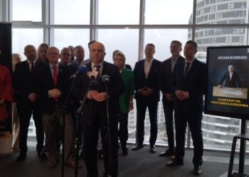 „Aglomeracja Rzeszowska – 11 Dziedzica”