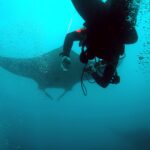 Podwodna fotografia dr. Piotra Kliszcza - Polskie Radio Rzeszów