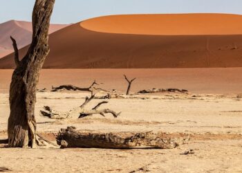 ONZ: Nawet ćwierć miliona dzieci może umrzeć z&nbsp;głodu w&nbsp;Sudanie