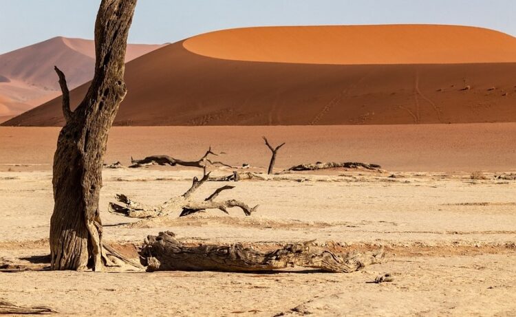 ONZ: Nawet ćwierć miliona dzieci może umrzeć z głodu w Sudanie