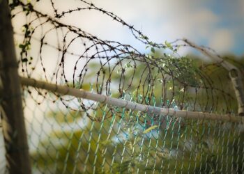 Straż Graniczna powołała zespoły poszukiwawczo-ratownicze dla migrantów