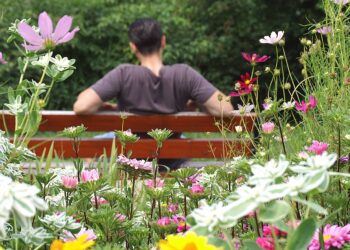 W&nbsp;Rzeszowie przybędzie parków kieszonkowych