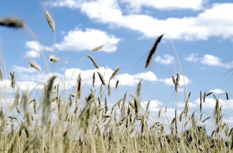 M.Kołodziejczak dla „Rzeczpospolitej”: Zielony Ład będzie renegocjowany