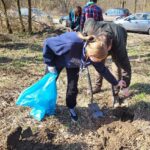 Sadzenie drzew miododajnych w tarnobrzeskim lesie 2 - Polskie Radio Rzeszów Sadzenie drzew miododajnych w tarnobrzeskim lesie - Polskie Radio Rzeszów