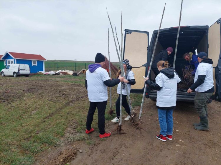 100 drzewek zasadzono dla piesków w Żurawicy