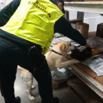 Zamiast odzieży i tekstyliów znaleźli krajankę tytoniową 4 - Polskie Radio Rzeszów Zamiast odzieży i tekstyliów znaleźli krajankę tytoniową - Polskie Radio Rzeszów