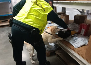 Zamiast odzieży i&nbsp;tekstyliów znaleźli krajankę tytoniową