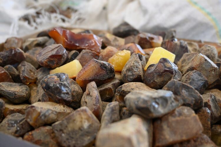 Maszyniści chcieli przemycić pociągiem z Odessy około 30 kilogramów bursztynu