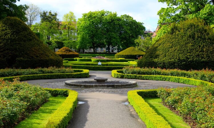 W gminie Głogów Małopolski zostaną zrewitalizowane zabytkowe parki podworskie 1 - Polskie Radio Rzeszów W gminie Głogów Małopolski zostaną zrewitalizowane zabytkowe parki podworskie