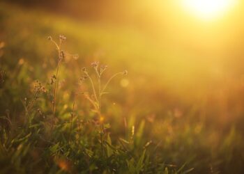 Padł rekord temperatury. Ponad 26 stopni w marcu