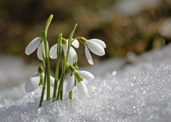 W&nbsp;środę o&nbsp;godzinie 4.06 zaczęła się astronomiczna wiosna