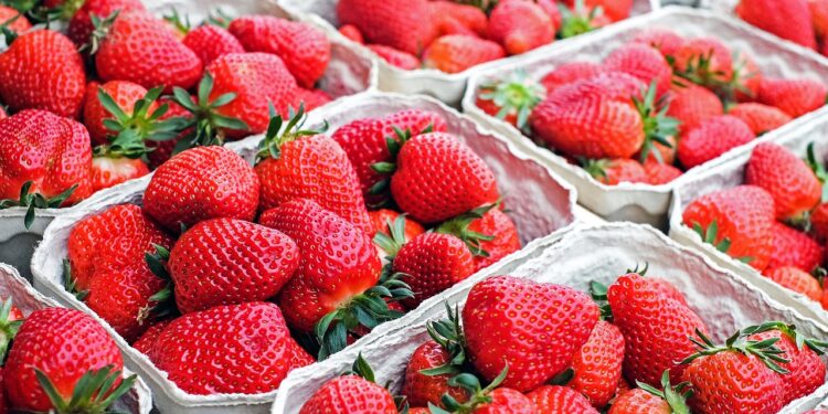 strawberries 1350482 1280