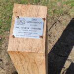 Dąb Pamięci por. Henryka Cybulskiego w Szydłowcu - Polskie Radio Rzeszów