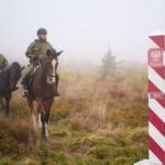 Konie na co dzień pracujące w BiOSG obchodzą swoje święto (zdjęcia) - Polskie Radio Rzeszów